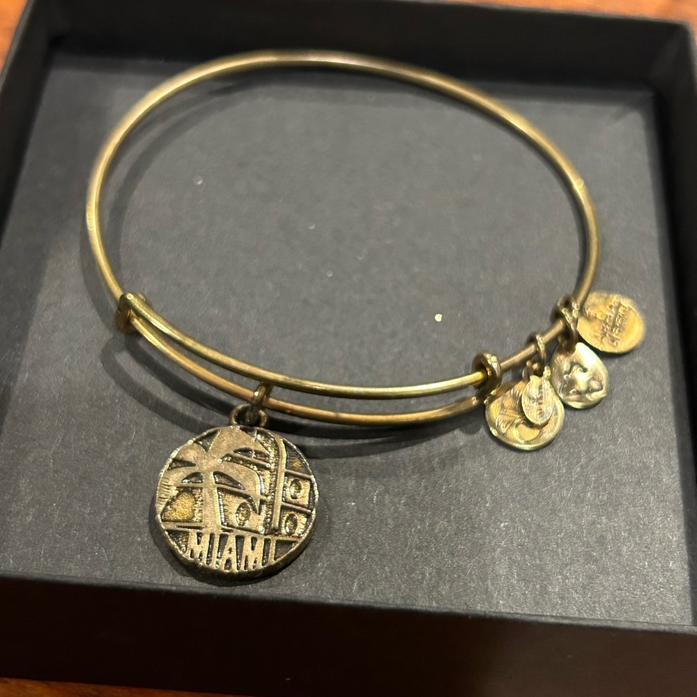 Alex and Ani Miami charm bracelet